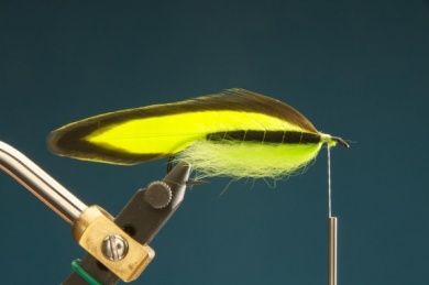 Fly tying - F & H Matuka - Step 6