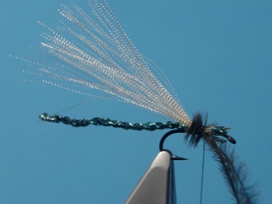 Fly tying - Wet Adult Damsel - Step 6