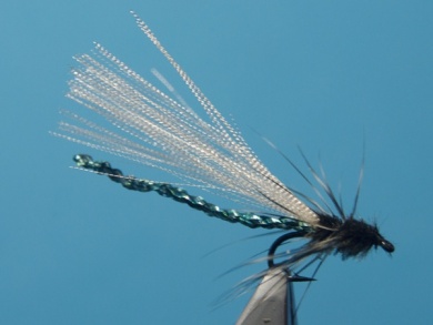 Fly tying - Wet Adult Damsel - Step 10