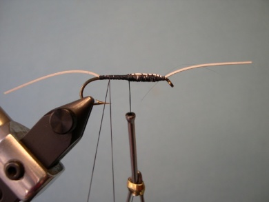 Fly tying - Cousin Itt - Step 3