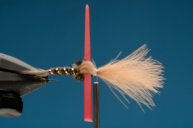 Fly tying - Tailmaster Emerger - Step 6