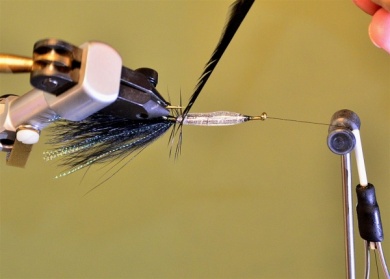 Fly tying - Epoxi Bugger - Step 7