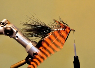 Fly tying - Epoxi Bugger - Step 11