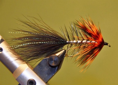 Fly tying - Epoxi Bugger - Step 13