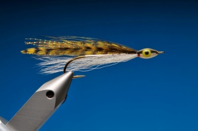 Fly tying - Argentine Perch Thunder Creek - Step 8