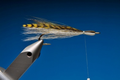 Fly tying - Argentine Perch Thunder Creek - Step 5