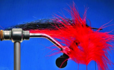 Fly tying - Dorado Toad - Step 3