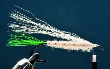Fly tying - LITTLE RAINBOW TROUT - Step 6