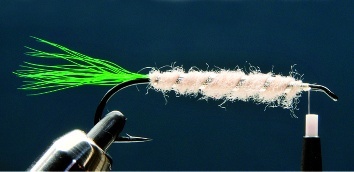 Fly tying - LITTLE RAINBOW TROUT - Step 5