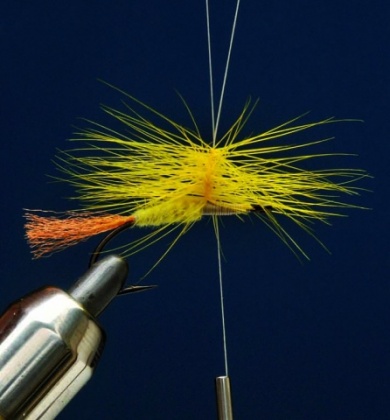 Fly tying - MM CHILOPORTER EMERGER - Step 6
