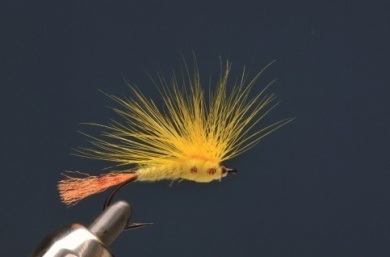 Fly tying - MM CHILOPORTER EMERGER - Step 11