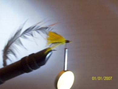 Paso a paso - Yellow Fly Caddis (invención propia) - Paso 4