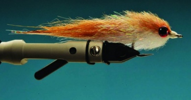 Fly tying - Kinky Muddler - Step 7