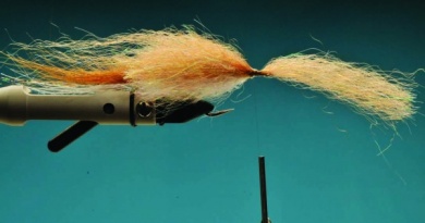 Fly tying - Kinky Muddler - Step 5