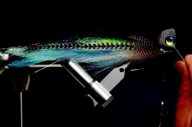 Fly tying - Jungle Ghost - Step 8