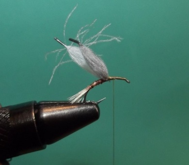 Fly tying - CDC Emerger - Step 3