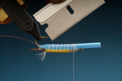 Fly tying - Gilled Chiloporter - Step 7
