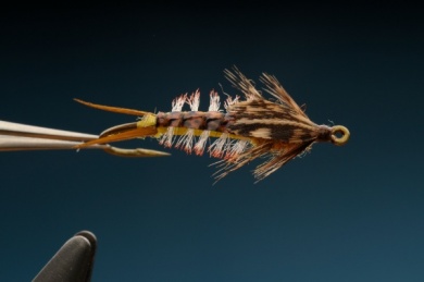 Fly tying - Gilled Chiloporter - Step 1