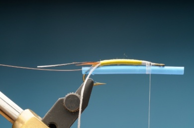 Fly tying - Gilled Chiloporter - Step 5