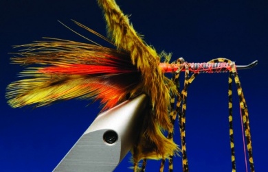 Fly tying - Green Death - Step 5