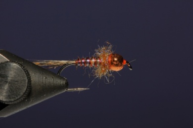 Fly tying - French Nymph - Step 9