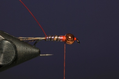 Fly tying - French Nymph - Step 6