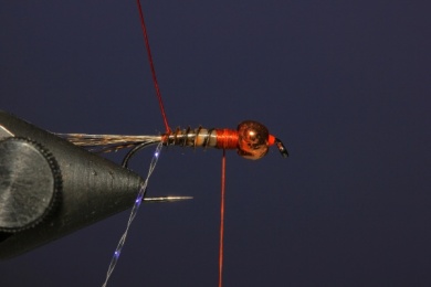 Fly tying - French Nymph - Step 5