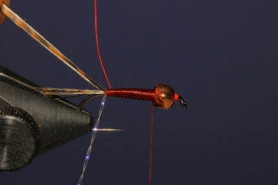 Fly tying - French Nymph - Step 4