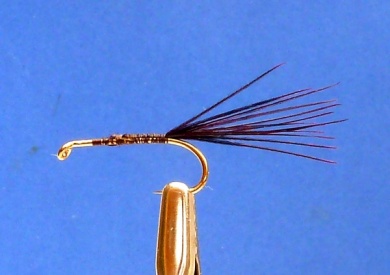 Fly tying - TEAL BLUE AND SILVER DABBLER - Step 1
