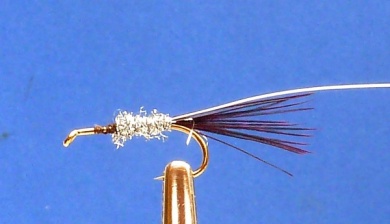 Fly tying - TEAL BLUE AND SILVER DABBLER - Step 3
