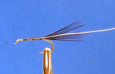 Fly tying - TEAL BLUE AND SILVER DABBLER - Step 2