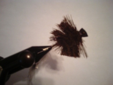 Fly tying - Morrish Mouse  - Step 5