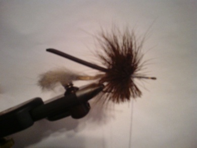 Fly tying - Morrish Mouse  - Step 2
