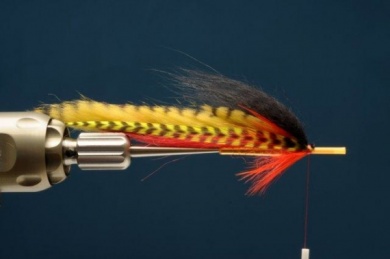 Fly tying - Hot Perch Tube - Step 5