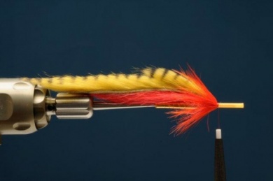 Fly tying - Hot Perch Tube - Step 4