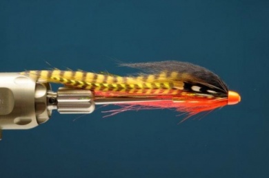 Fly tying - Hot Perch Tube - Step 8
