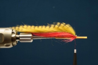 Fly tying - Hot Perch Tube - Step 3