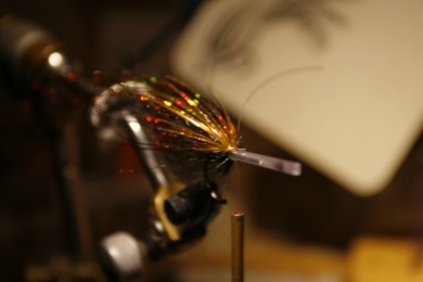 Fly tying - Weedless Optic Minnow feat. Brad Bohen - Step 7