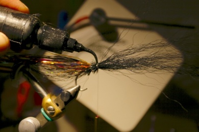 Fly tying - Weedless Optic Minnow feat. Brad Bohen - Step 9