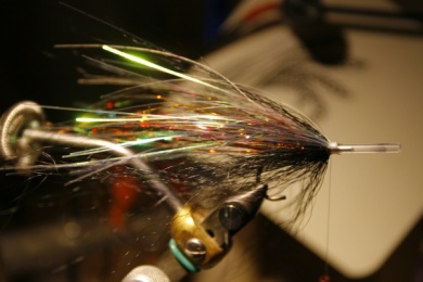 Fly tying - Weedless Optic Minnow feat. Brad Bohen - Step 12