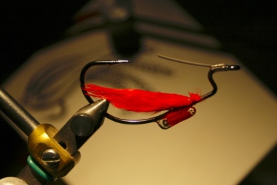 Fly tying - Weedless Optic Minnow feat. Brad Bohen - Step 24