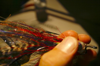 Fly tying - Weedless Optic Minnow feat. Brad Bohen - Step 28