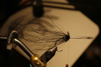 Fly tying - Weedless Optic Minnow feat. Brad Bohen - Step 6