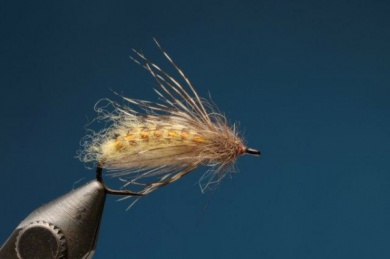 Fly tying - M.M. Translucent Pupa - Step 10