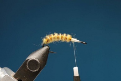 Fly tying - M.M. Translucent Pupa - Step 4