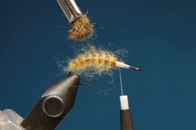 Fly tying - M.M. Translucent Pupa - Step 5