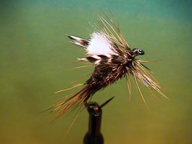Fly tying - Irresistable - Step 6