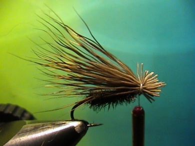 Fly tying - Cooper Bug - Step 3