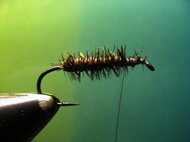 Fly tying - Cooper Bug - Step 2