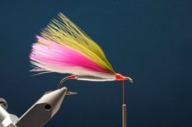 Fly tying - M.M. Rainbow Muddler - Step 6